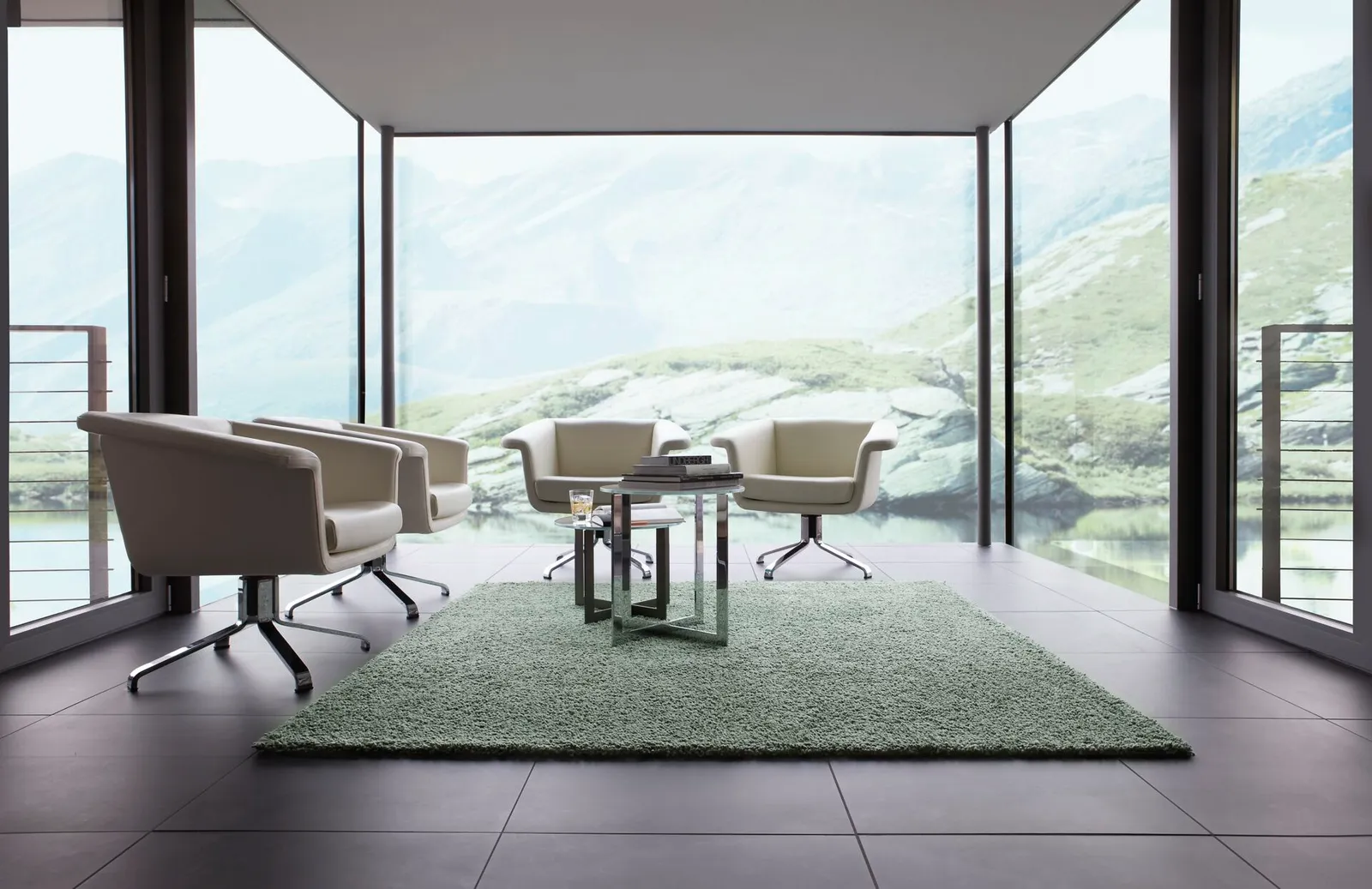 CARPET & RUG