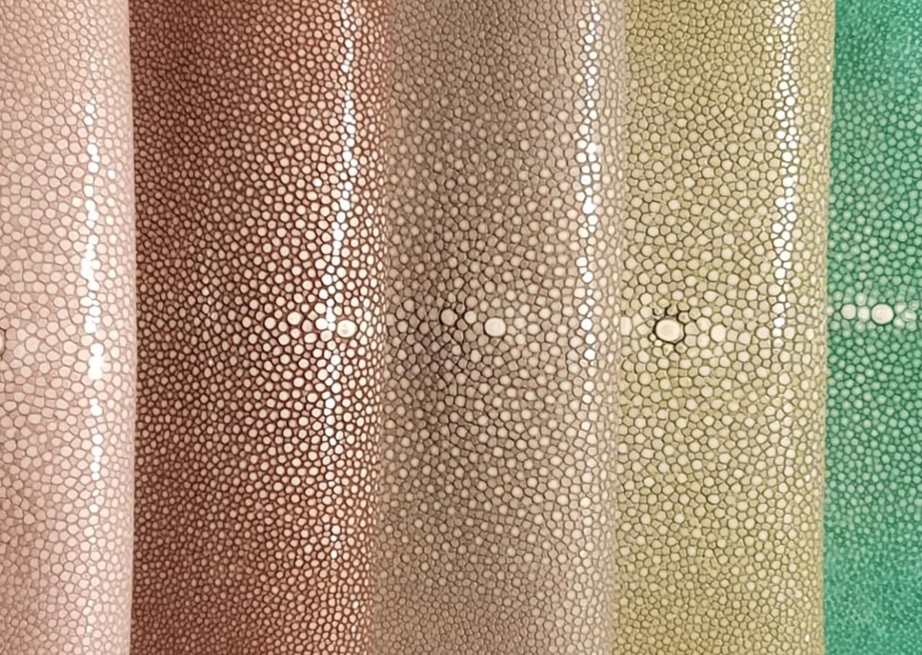 Embossed Leather 3