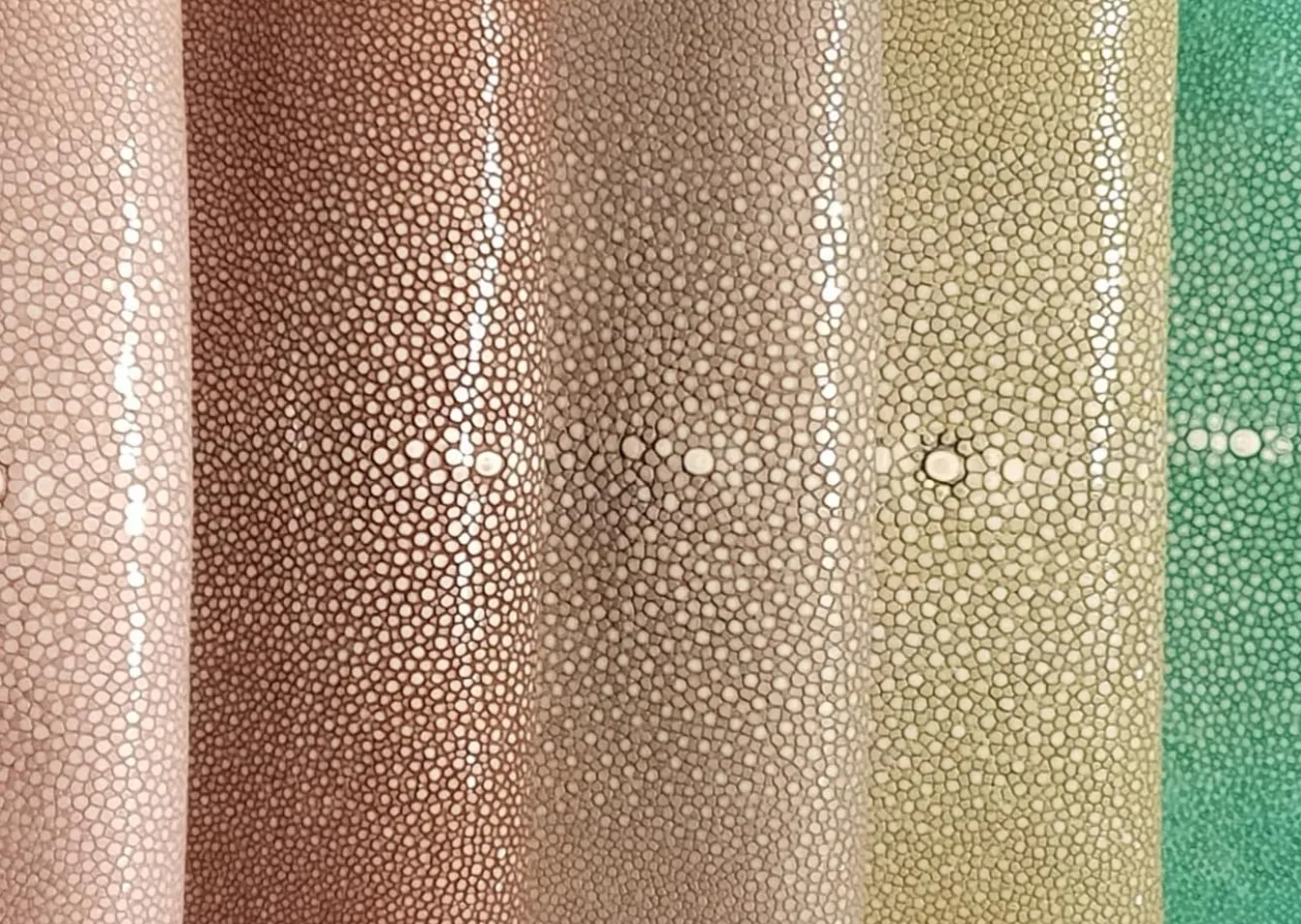 Embossed Leather 3